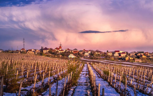 3rd UNWTO Global Conference on Wine Tourism