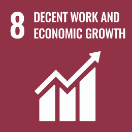 SDG8