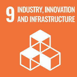 SDG9