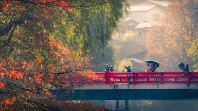 Gifu Sustainable Tourism Observatory