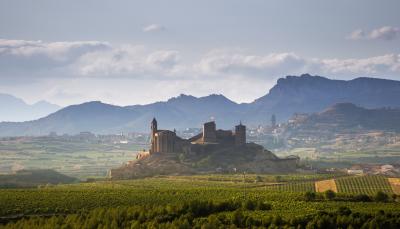 San VIcente de la Sonsierra and vineyards