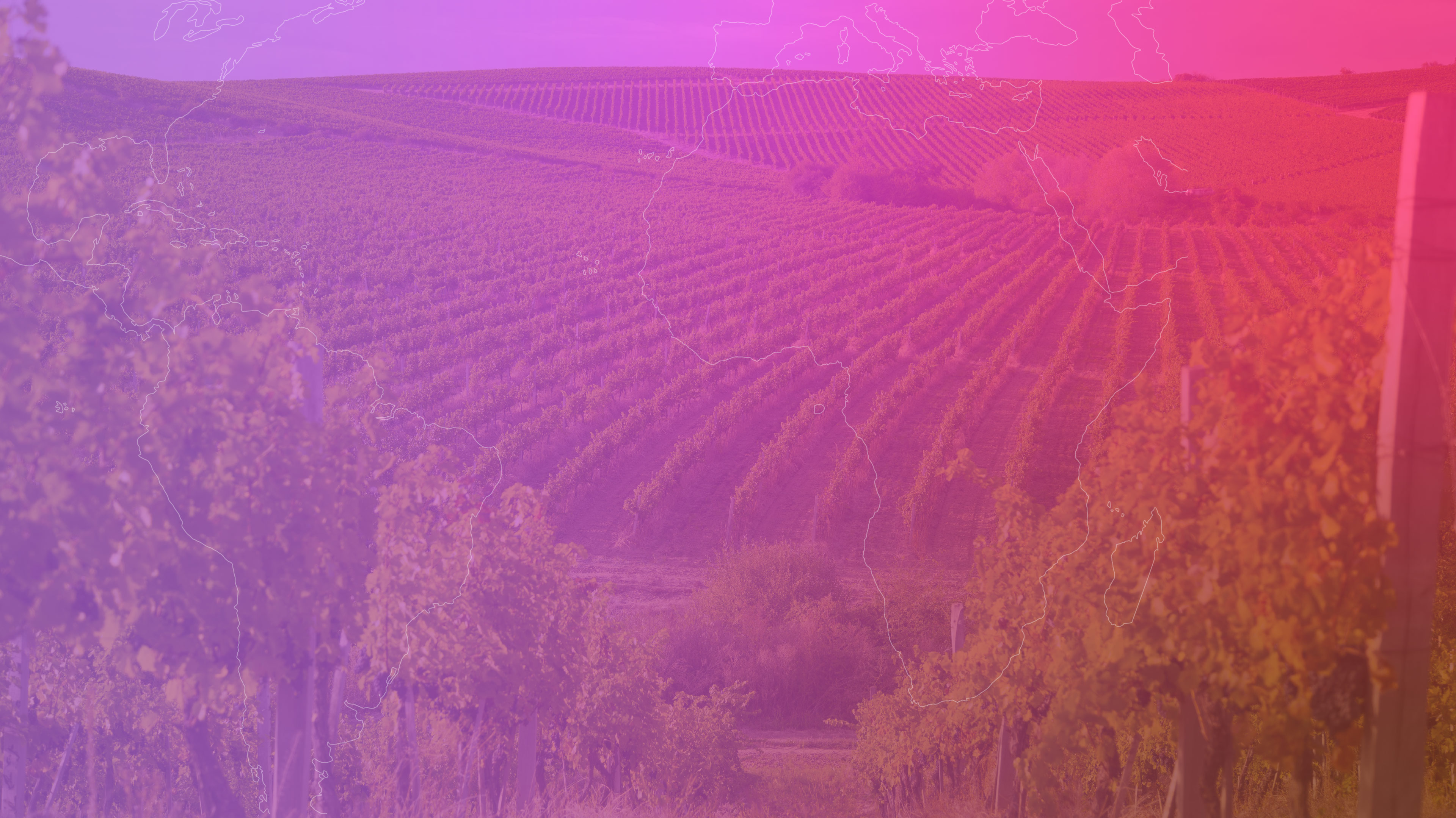 Innovating in wine tourism in the context of COVID-19